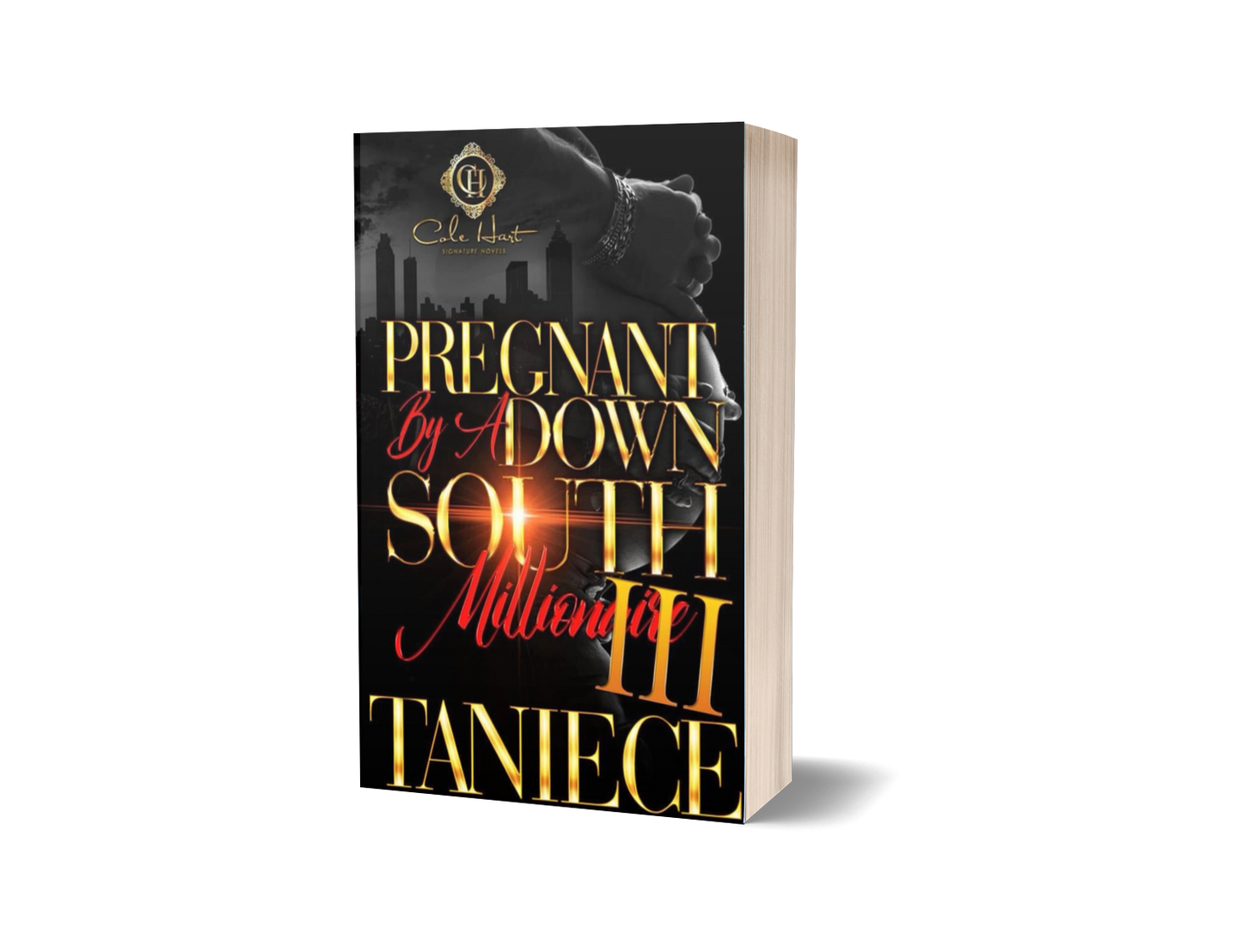 Pregnant by a Down South Millionaire 3